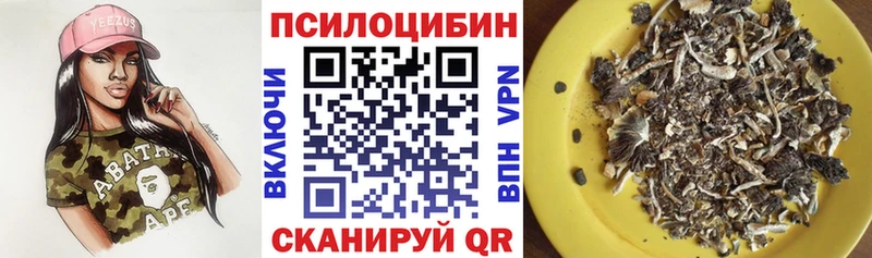 дарнет шоп  Моздок  Галлюциногенные грибы MAGIC MUSHROOMS 