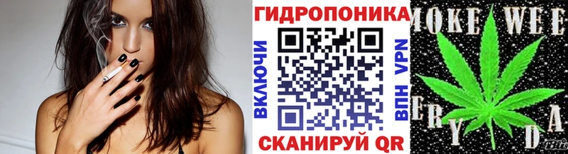 Бошки марихуана конопля  Моздок 